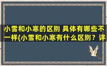 小雪和小寒的区别 具体有哪些不一样(小雪和小寒有什么区别？详解小雪和小寒的不同点！)